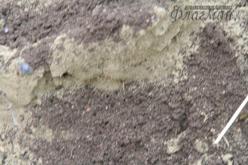 IMG_1358